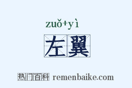 左翼是什么意思的图片